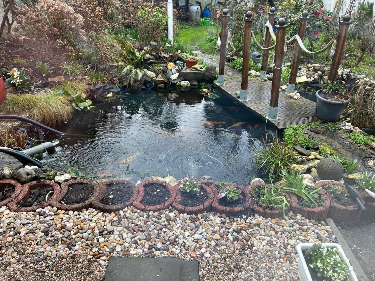 Apartment Am Teich *